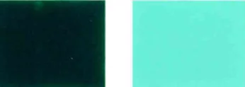 Pigment-green-36-Color