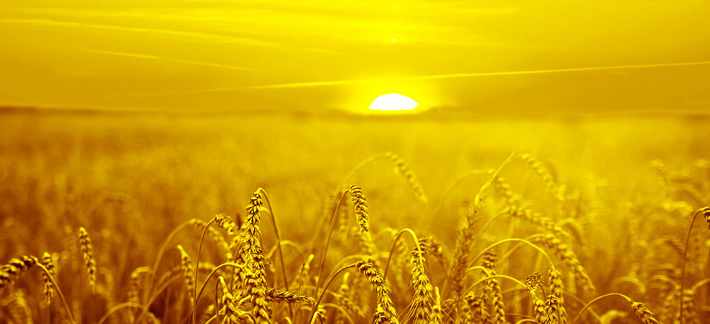 We Like Offering Colour Solutions